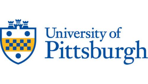 University of Pittsburgh, Department of Physical Therapy Immersion Lab
